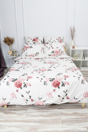 75ca763b-14bb-4493-a815-cf016c38e84a