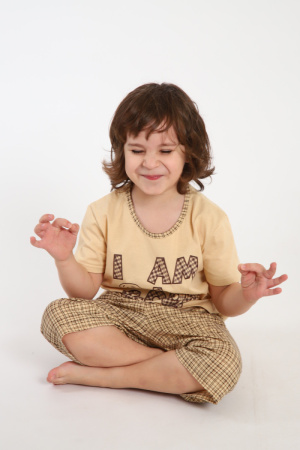 a3a1f150-b1dd-43e5-bd26-3947eb926207